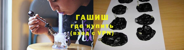 гидра Алексеевка