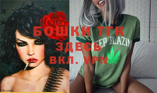 стаф Алексин